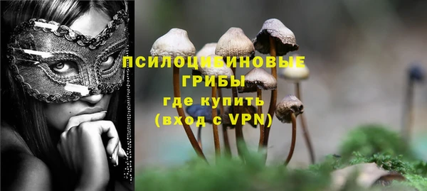 шишки Алзамай