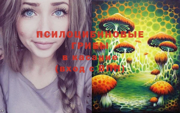 шишки Алзамай