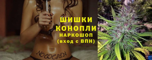 шишки Алзамай