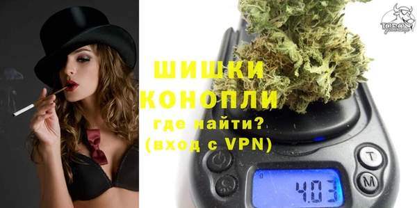 шишки Алзамай